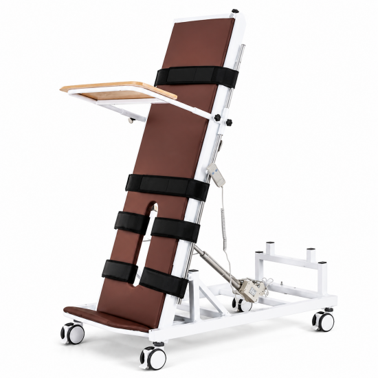 OEM Electric Standing Rehabilitation Bed Manufacturer for Healthcare Projects